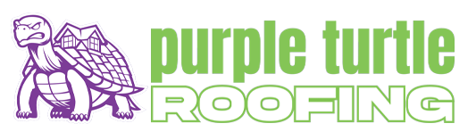 Purple-Turtle-NEW-Web-Logo.png